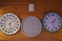 Szedres mints hollhzi porceln, szrke pasztell s zld nagy kontraszt manyag falirk